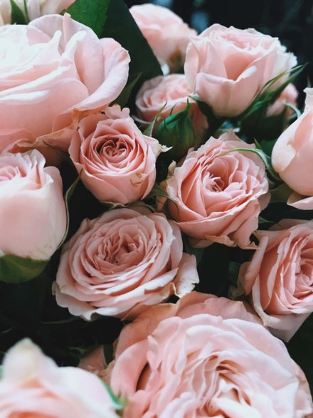 Giv roser: et sikkert bud, hvis du vil vise din kærlighed